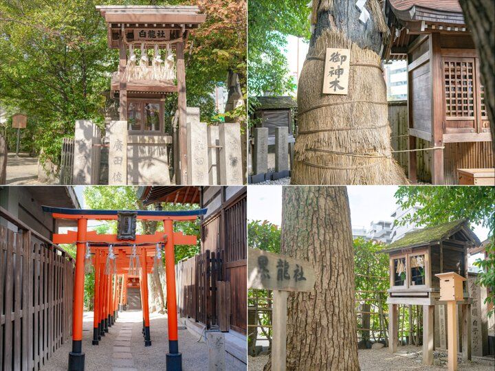 チョークアート作家による絵馬がかわいい♪ 「ひと夢祈願」で有名な天王寺のパワースポット「堀越神社」