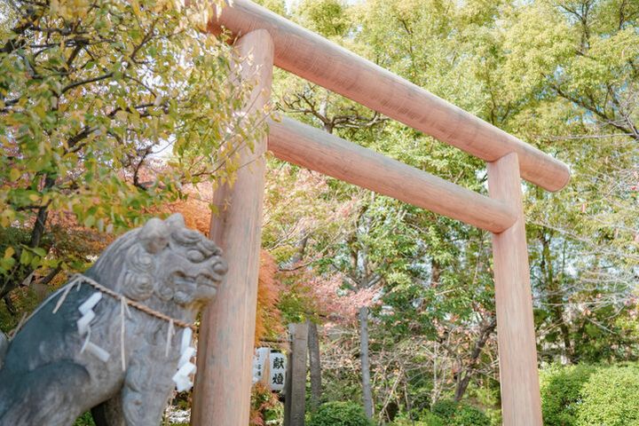 チョークアート作家による絵馬がかわいい♪ 「ひと夢祈願」で有名な天王寺のパワースポット「堀越神社」