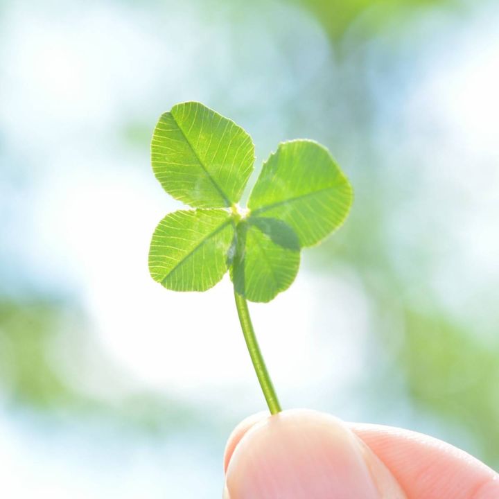 2025年12月23日(火) 友引 寅の日