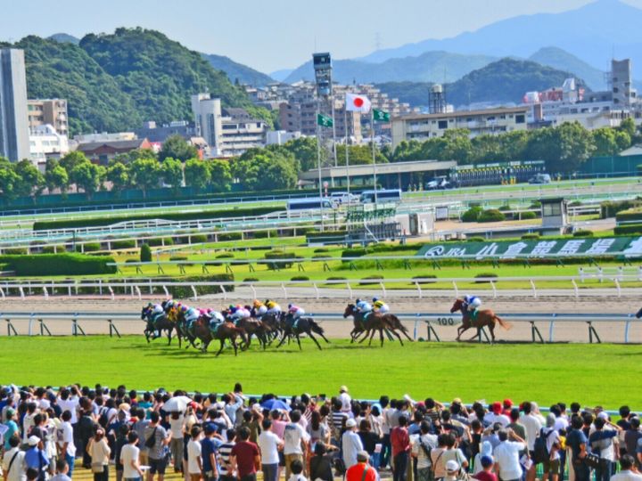 All About ニュース編集部が全国250人を対象に実施した「競馬場に関するアンケート」の調査結果から、馬との距離が近く感じられると思う「競馬場（中央競馬）」ランキングを発表！ 2位「東京競馬場」「小倉競馬場」を抑えた1位は？