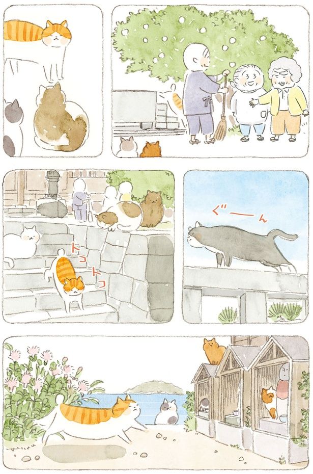 トコトコ （C）ねこまき（ミューズワーク）／KADOKAWA