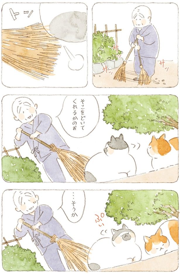 ぷいっ （C）ねこまき（ミューズワーク）／KADOKAWA