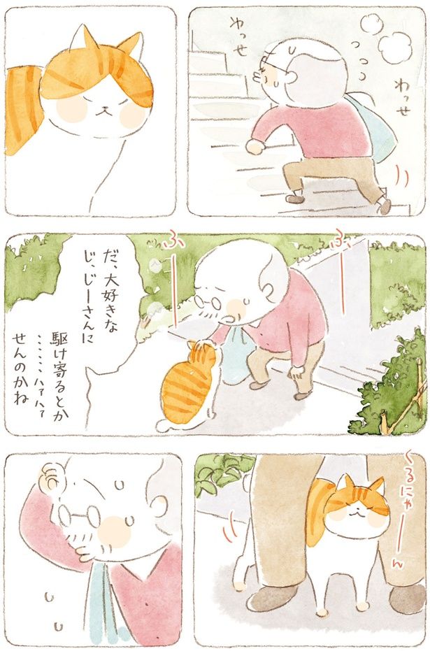 わっせわっせ （C）ねこまき（ミューズワーク）／KADOKAWA