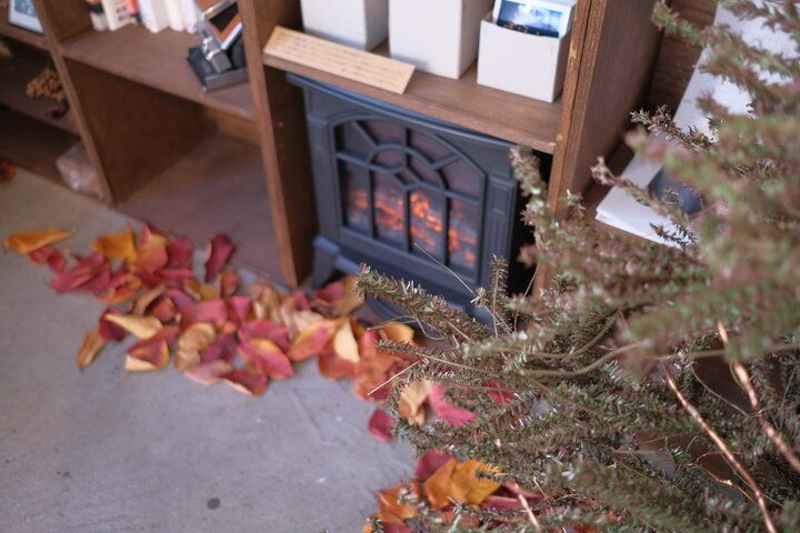 心なごむレトロな空間で、チャイや月替わりの紅茶を。駅近の穴場カフェ／西荻窪「MODeL T」