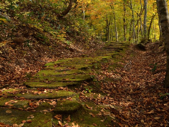 All About ニュース編集部が全国250人を対象に実施した「長期休みに行きたい穴場秘境に関するアンケート」の調査結果から、長期休みに行きたい「山形県の穴場秘境」ランキングを発表！ 2位「黒沢峠ブナ林」を抑えた1位は？