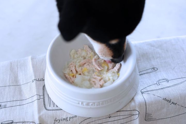 ヤギミルクパウダーのシチュー