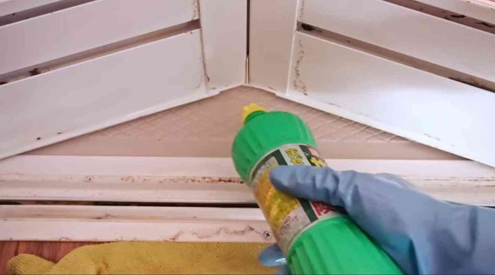 画像出典：YouTube/お掃除職人きよきよさん（https://www.youtube.com/watch?v=JhbuTwqOTXE）