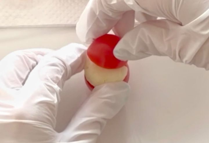 ミニトマサンタ