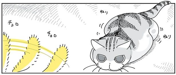 ドキドキの飼い主 （C）キュルZ／KADOKAWA