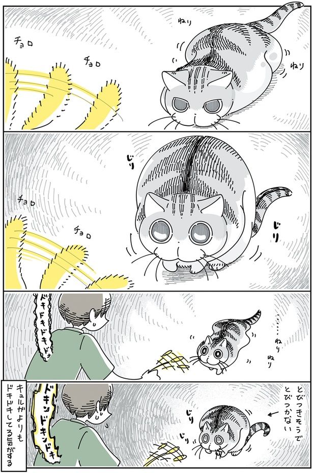 とびつきそうでとびつかない （C）キュルZ／KADOKAWA