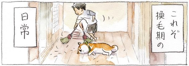 これぞ換毛期の日常 （C）犬山スケッチ／KADOKAWA