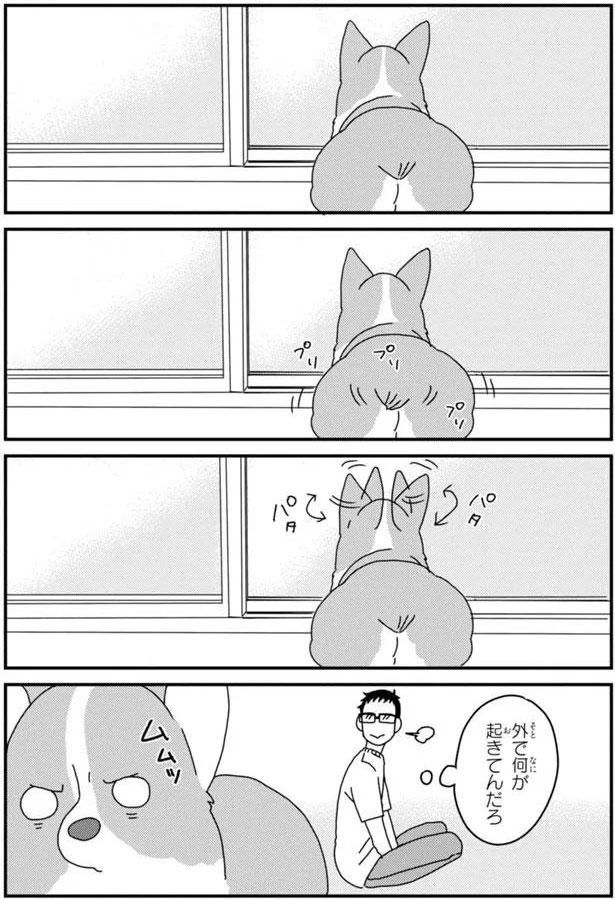 プリプリ パタパタ (C)らくだ／KADOKAWA