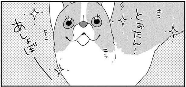 本当に同じ犬？オンとオフ、2つの顔を持つワンコ (C)らくだ／KADOKAWA