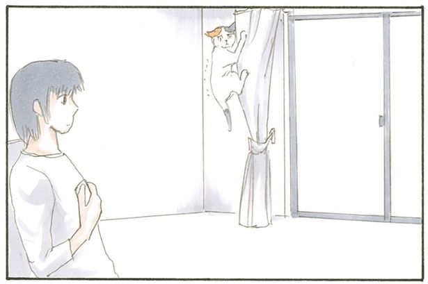 カーテンにしがみついて… （C）にごたろ／KADOKAWA