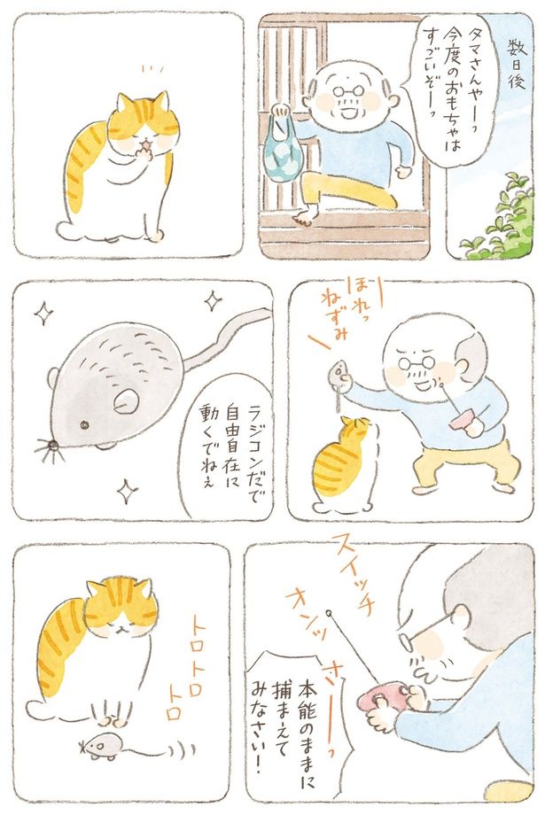 本能のままに捕まえてみなさい！ （C）ねこまき（ミューズワーク）／KADOKAWA