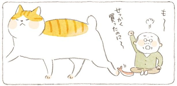 せっかく買ったのに～ （C）ねこまき（ミューズワーク）／KADOKAWA