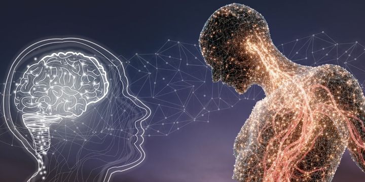 外見の僅かな差を「脳の性質」と結びつけることはできるのか？