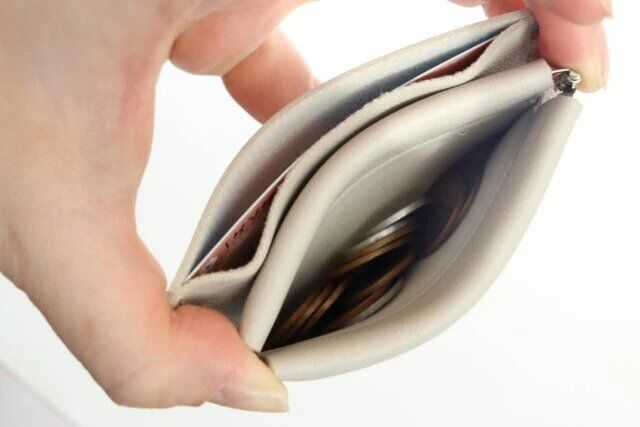 ダイソー レザー調バネ口カードケース（ベーシック）