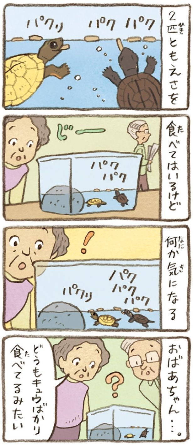 2匹ともえさ食べてはいるけど （C）やましたこうへい／KADOKAWA