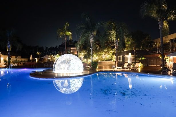 幻想的な「THE LIVING GARDEN」