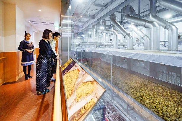 「KIRISHIMA WALK FACTORY」では霧島焼酎ができるまでの工程が楽しく学べる