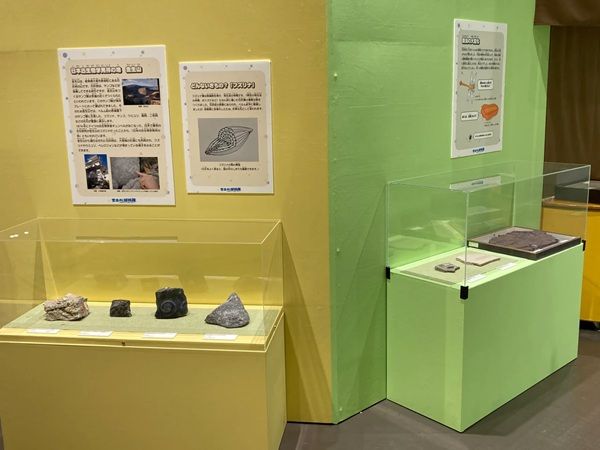 【静岡県静岡市】静岡科学館で企画展「古生代探検隊」開催。恐竜時代以前の生物の進化を展示で紹介