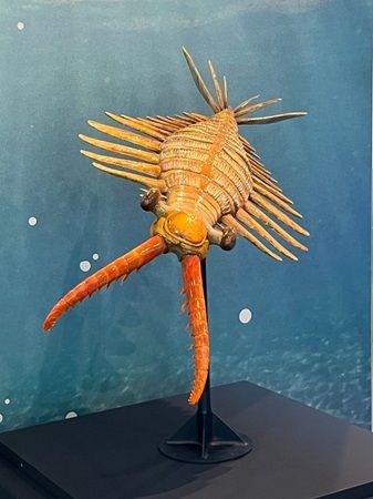 【静岡県静岡市】静岡科学館で企画展「古生代探検隊」開催。恐竜時代以前の生物の進化を展示で紹介