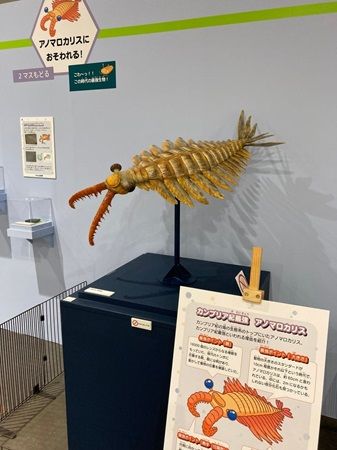 【静岡県静岡市】静岡科学館で企画展「古生代探検隊」開催。恐竜時代以前の生物の進化を展示で紹介