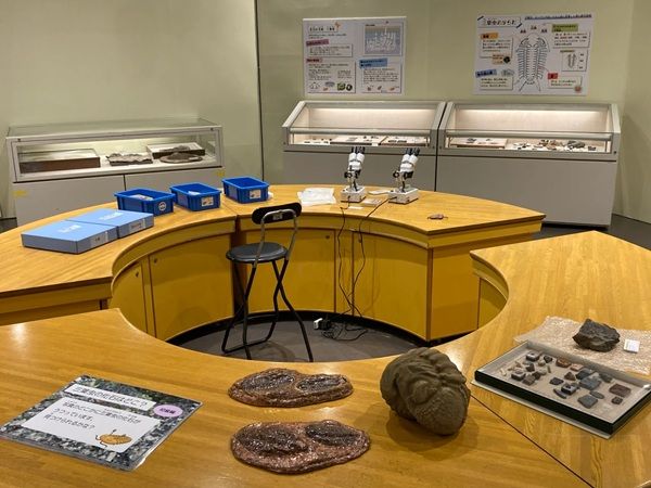 【静岡県静岡市】静岡科学館で企画展「古生代探検隊」開催。恐竜時代以前の生物の進化を展示で紹介