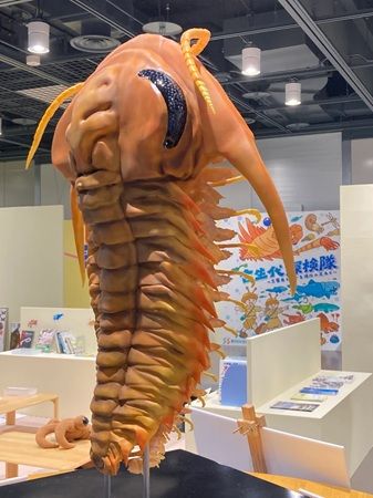 【静岡県静岡市】静岡科学館で企画展「古生代探検隊」開催。恐竜時代以前の生物の進化を展示で紹介