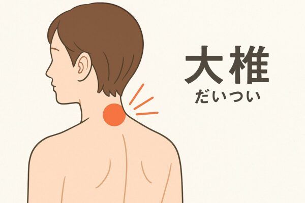 心と体をじんわり整える温活習慣！「あっためやネックウォーマー」新発売