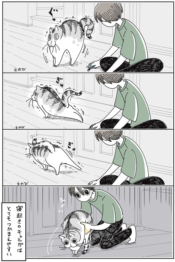 寝起きはつかまえやすい （C）キュルZ／KADOKAWA