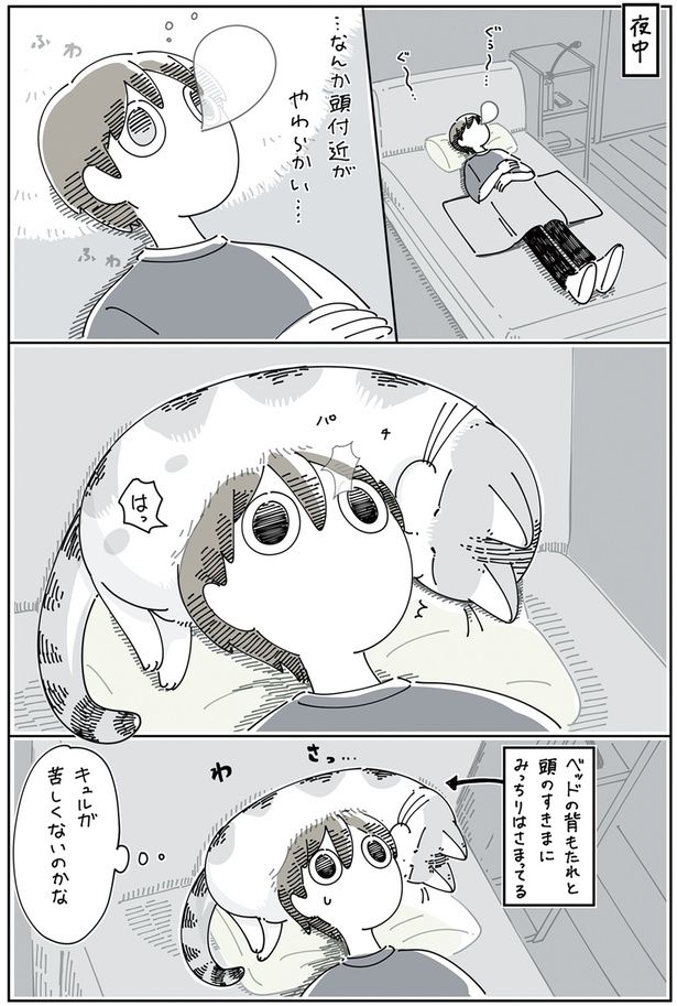 際どい場所で寝たいらしい （C）キュルZ／KADOKAWA