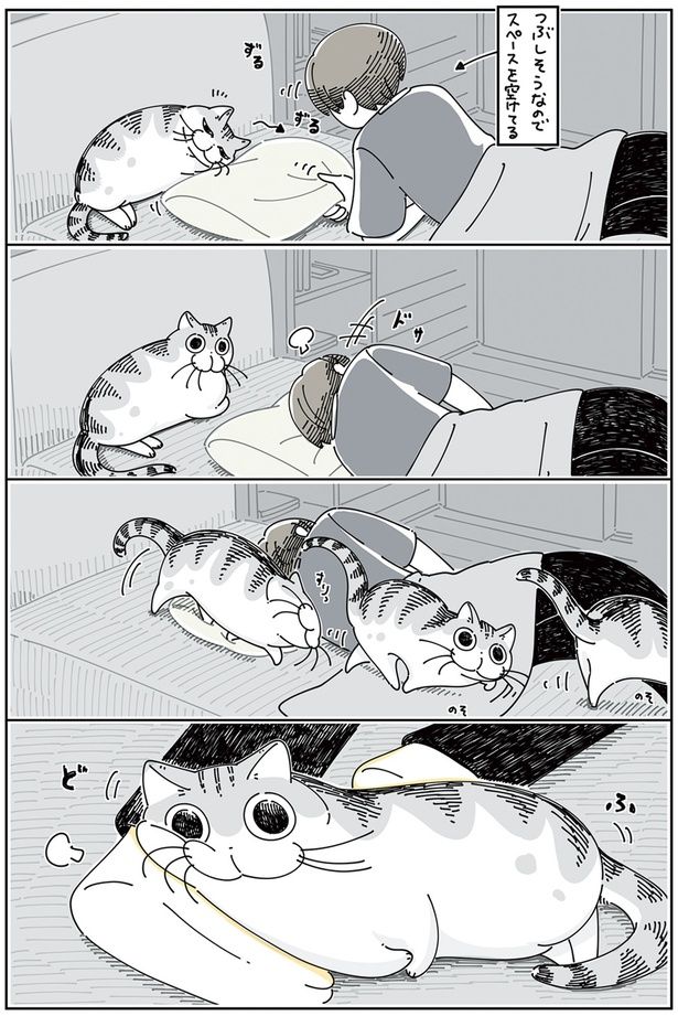 スペースを空けても… （C）キュルZ／KADOKAWA