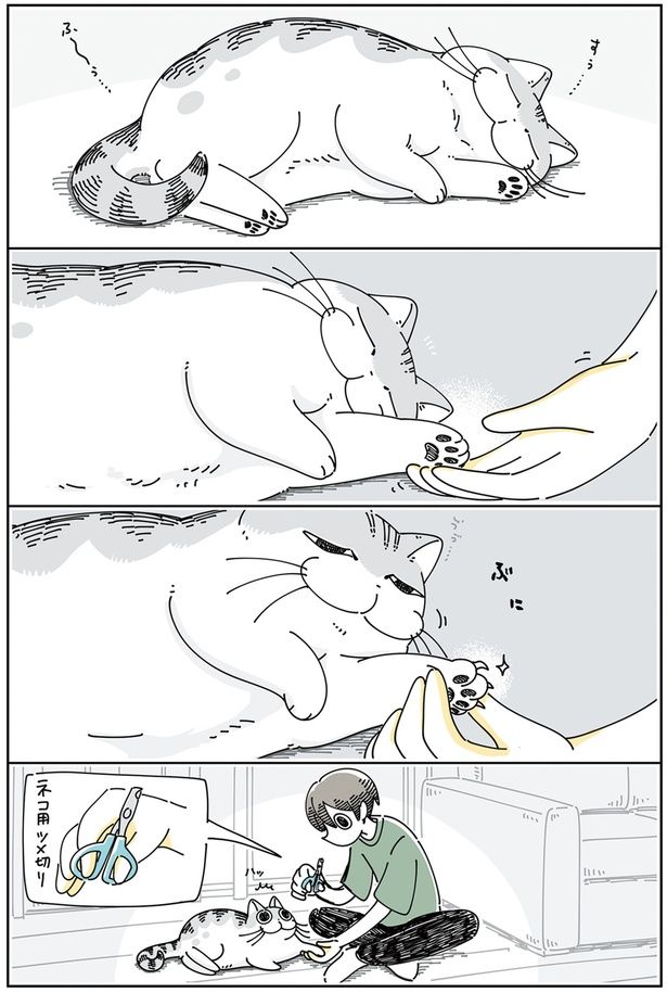 眠いうちにツメ切り （C）キュルZ／KADOKAWA