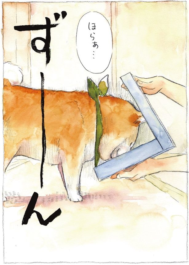 ほらぁ… （C）犬山スケッチ／KADOKAWA