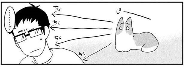 視線を感じて振り返ってみると？うちのワンコのすごい特技 (C)らくだ／KADOKAWA