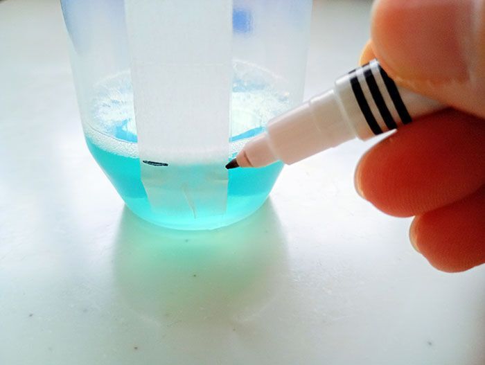 空になった「はちみつ容器」、捨てちゃダメ！家じゅうで大活躍＆旅行にも使える♡100均ミニサイズが神！