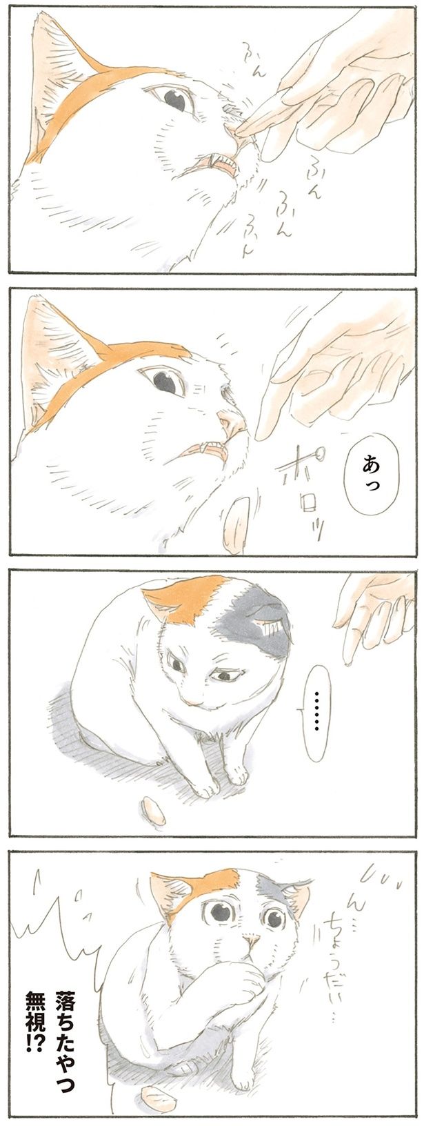 やり直し （C）にごたろ／KADOKAWA