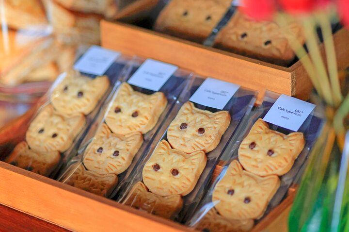 京都・平安神宮近くの「Cafe ヒペリカム」で過ごす癒やしの時。手作りおはぎやかわいいネコのクッキーも♪