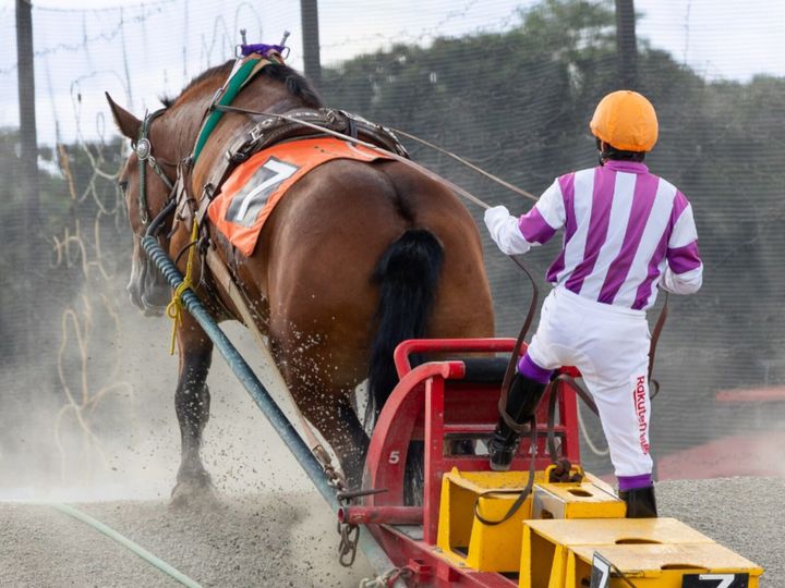 All About ニュース編集部が全国250人を対象に実施した「競馬場に関するアンケート」の調査結果から、競馬ファンでなくても楽しめると思う「競馬場（地方競馬）」ランキングを発表！ 2位「帯広競馬場」を抑えた1位は？