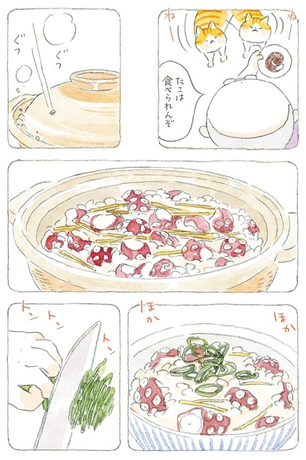 たこは食べられんぞ （C）ねこまき（ミューズワーク）／KADOKAWA