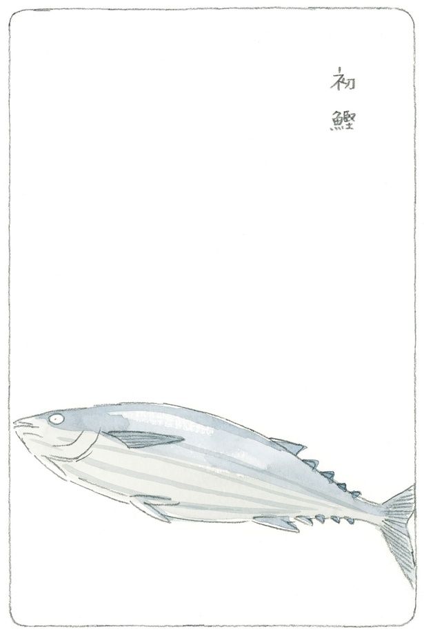 初鰹 （C）ねこまき（ミューズワーク）／KADOKAWA