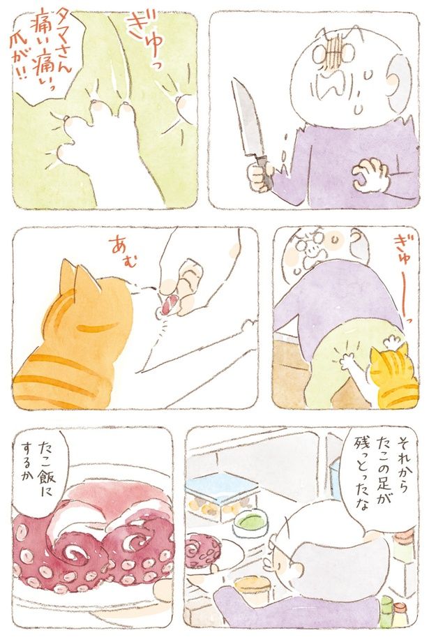 たこ飯にするか （C）ねこまき（ミューズワーク）／KADOKAWA