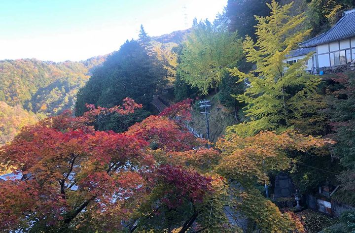 ハーレー和尚のバイク説法「春夏秋冬（しゅんかしゅうとう）」