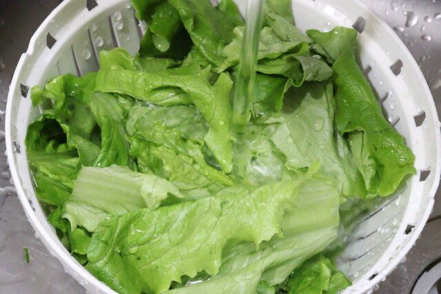 保存できる蓋付ザルボウル 野菜の洗浄