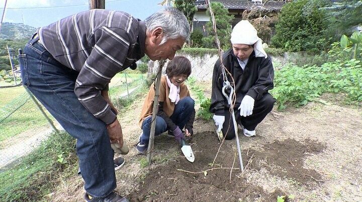 探偵！ナイトスクープ