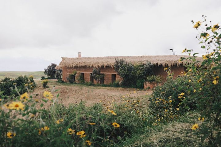 ミルはヴィルヒリオにとってのラボであり、実験的レストランでもある。Photo_ Leslie Hosokawa