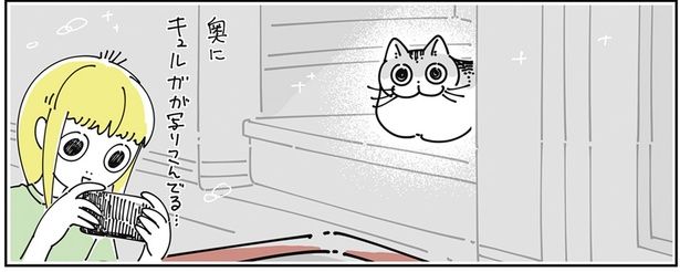 奥に写りこんでる… （C）キュルZ／KADOKAWA