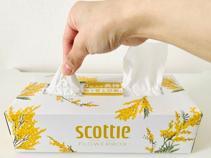 究極の節約テク！？ティッシュボックスは「両方から使う」。こうすれば家じゅうで使えます♪